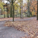 DSC_4005.jpg